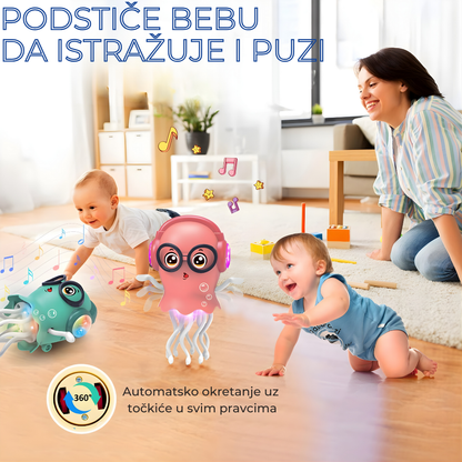 Plesko meduza